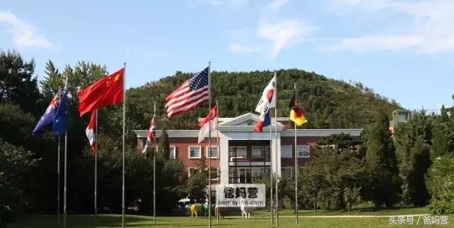 黄多多和李嫣谁有楷模,李嫣黄多多年收入