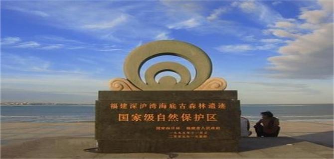 海边独特的美食有哪些,海边都有哪些特色美食