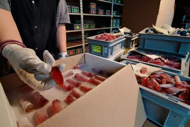 国外的珠宝一定比国内的便宜又好吗，别天真了