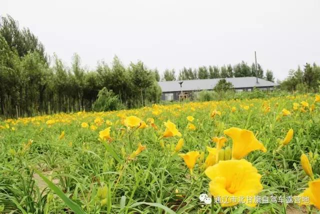 内蒙火山草原露营地推荐,北甘旗自驾车露营地