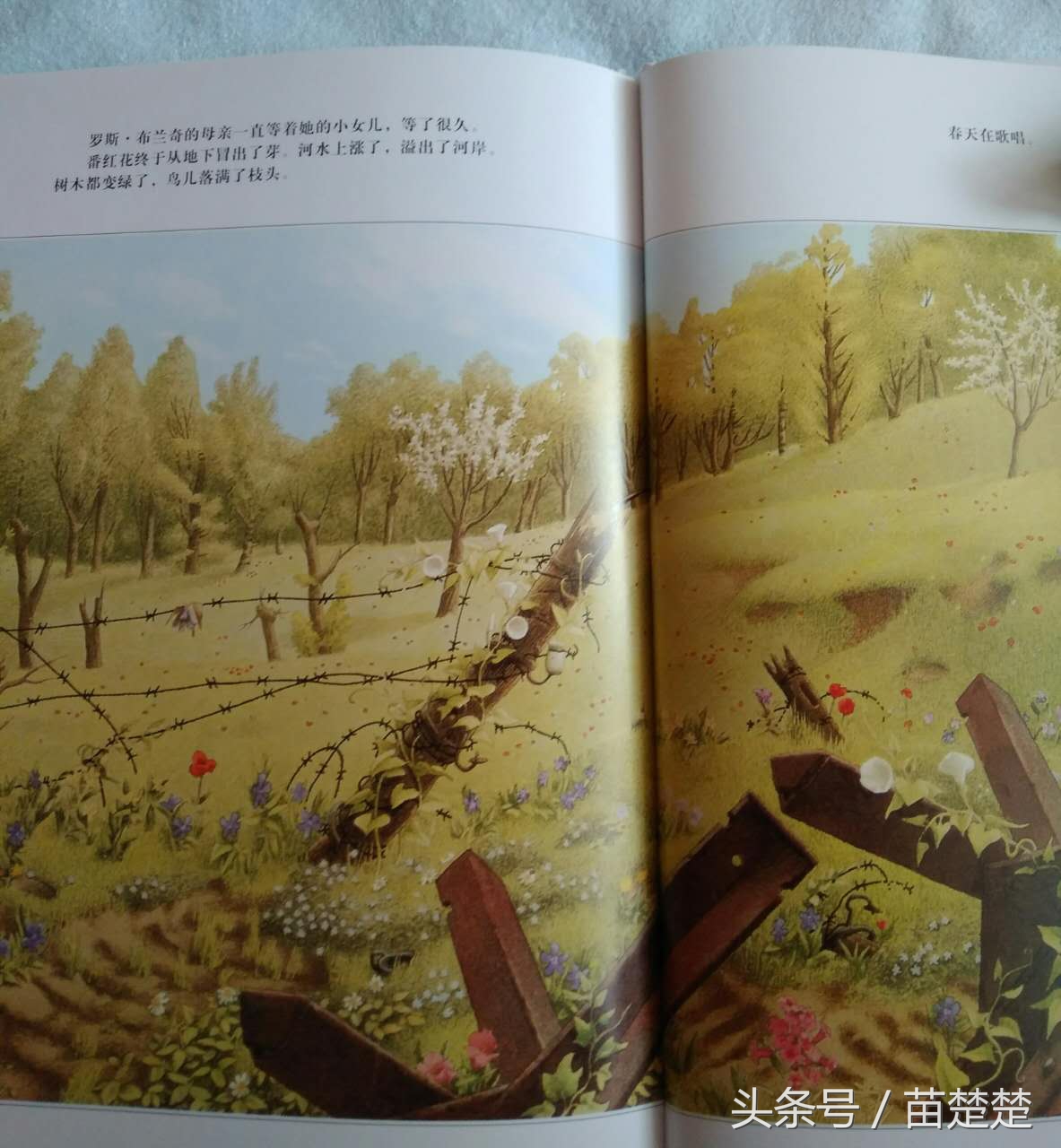 我爱你一直到月亮那里英文,我爱你一直到月亮上面