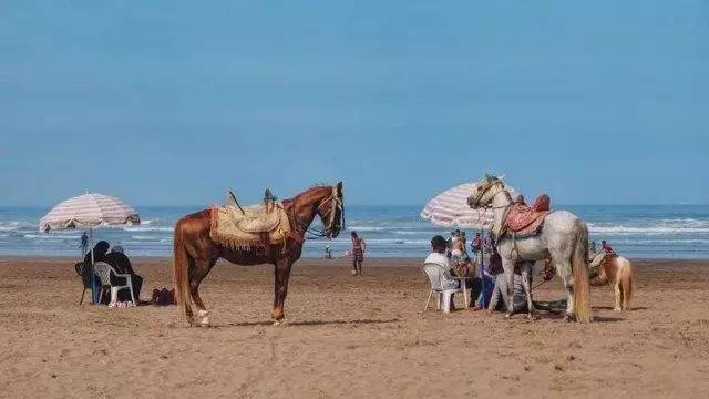 摩洛哥旅游深度攻略图,摩洛哥卡萨布兰卡有什么好玩