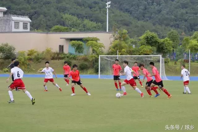 梅州田径市运会,市运会田径项目圆满结束