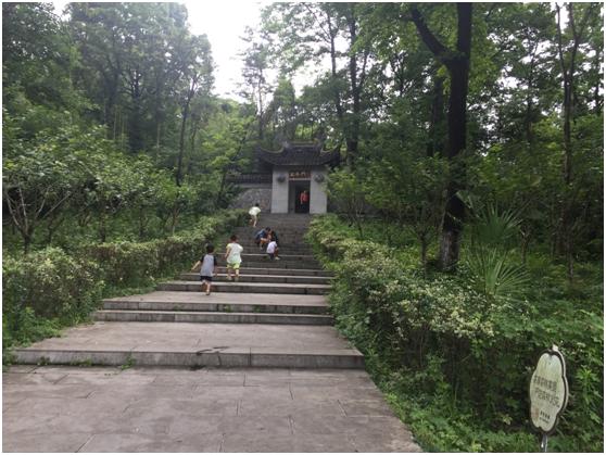 宜兴绿缘山庄度假酒店,宜兴绿缘山庄在什么地方