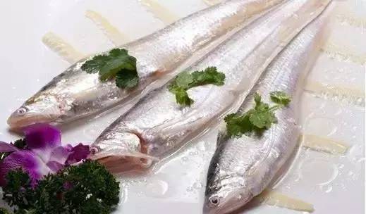 上海老夫妻旅行路线攻略,上海适合老年人去的地方推荐