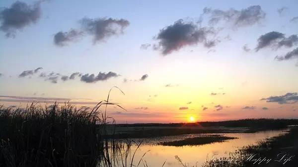 上海老夫妻旅行路线攻略,上海适合老年人去的地方推荐