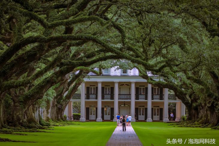 我在美国吃麻小佳能EOS路易斯安那随拍