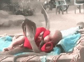 论男朋友的正确使用方法,男朋友正确使用守则