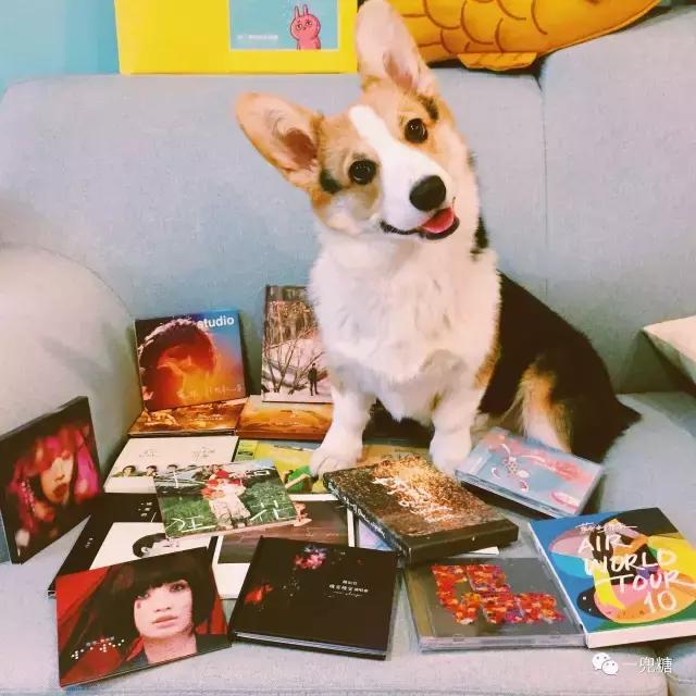 推开门我误以为自己闯入了海洋精灵的家