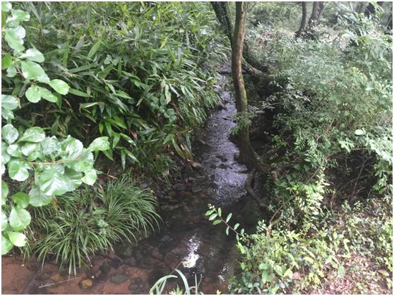 宜兴绿缘山庄度假酒店,宜兴绿缘山庄在什么地方