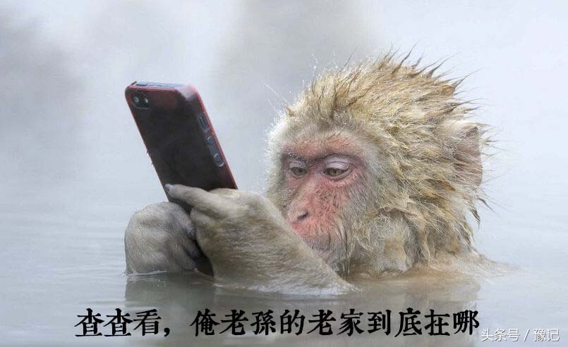 吴承恩《西游记》和连云港花果山,吴承恩四大游记