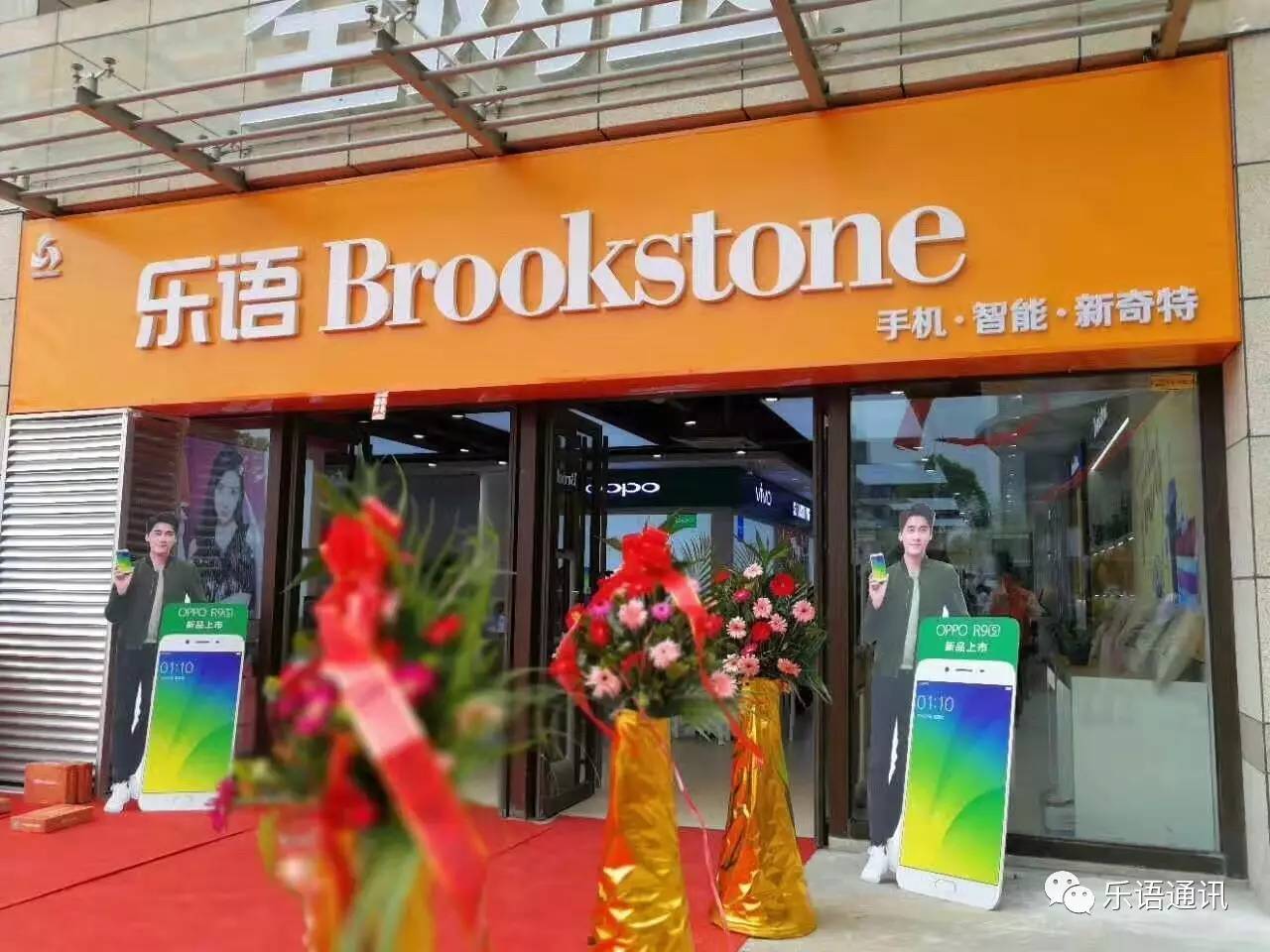 袁亚非收购乐语通讯,三胞集团袁亚非哪个大学