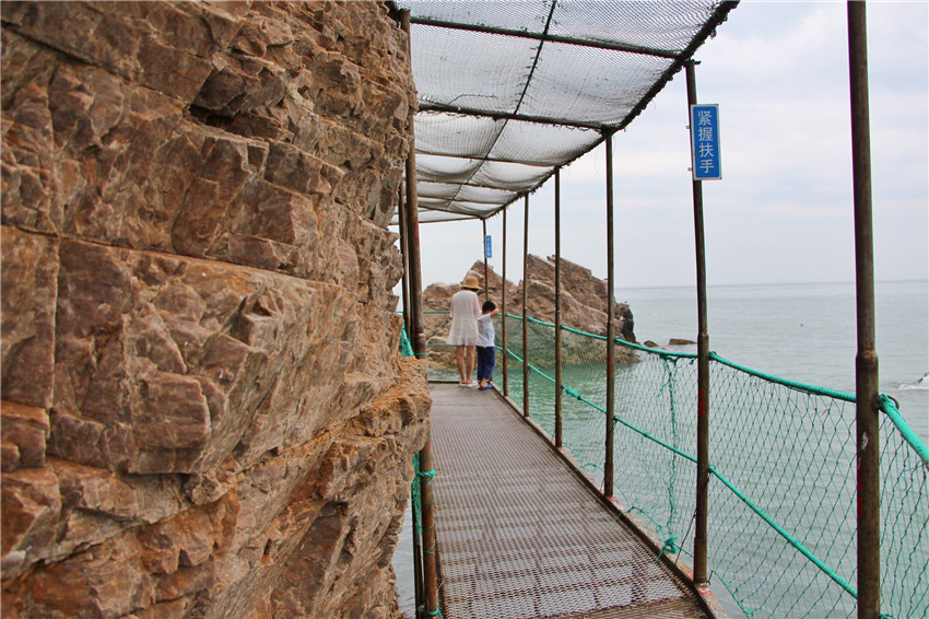 荣成海驴岛一年四季都有海鸥吗,国外海岛看海鸥