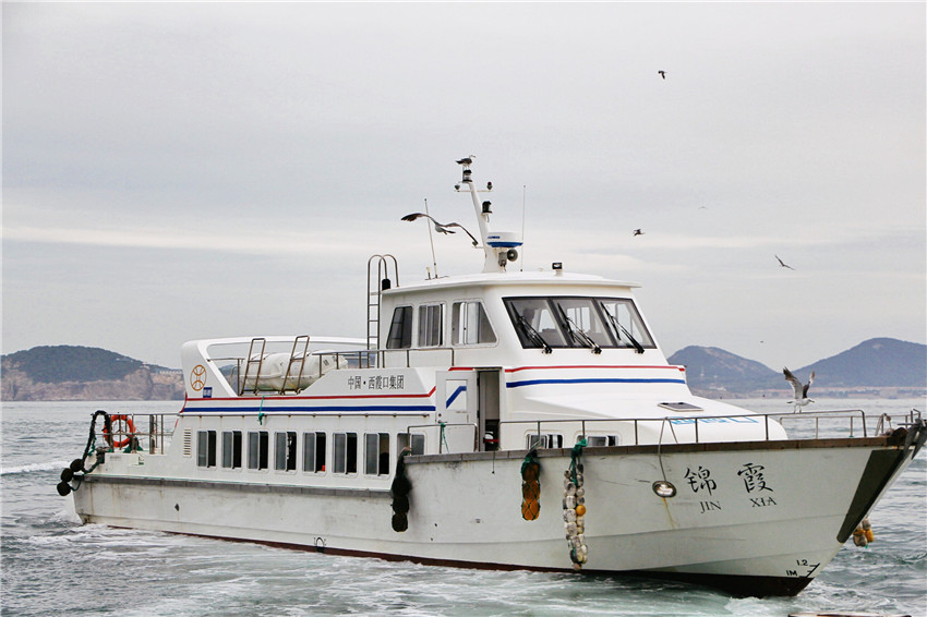 荣成海驴岛一年四季都有海鸥吗,国外海岛看海鸥