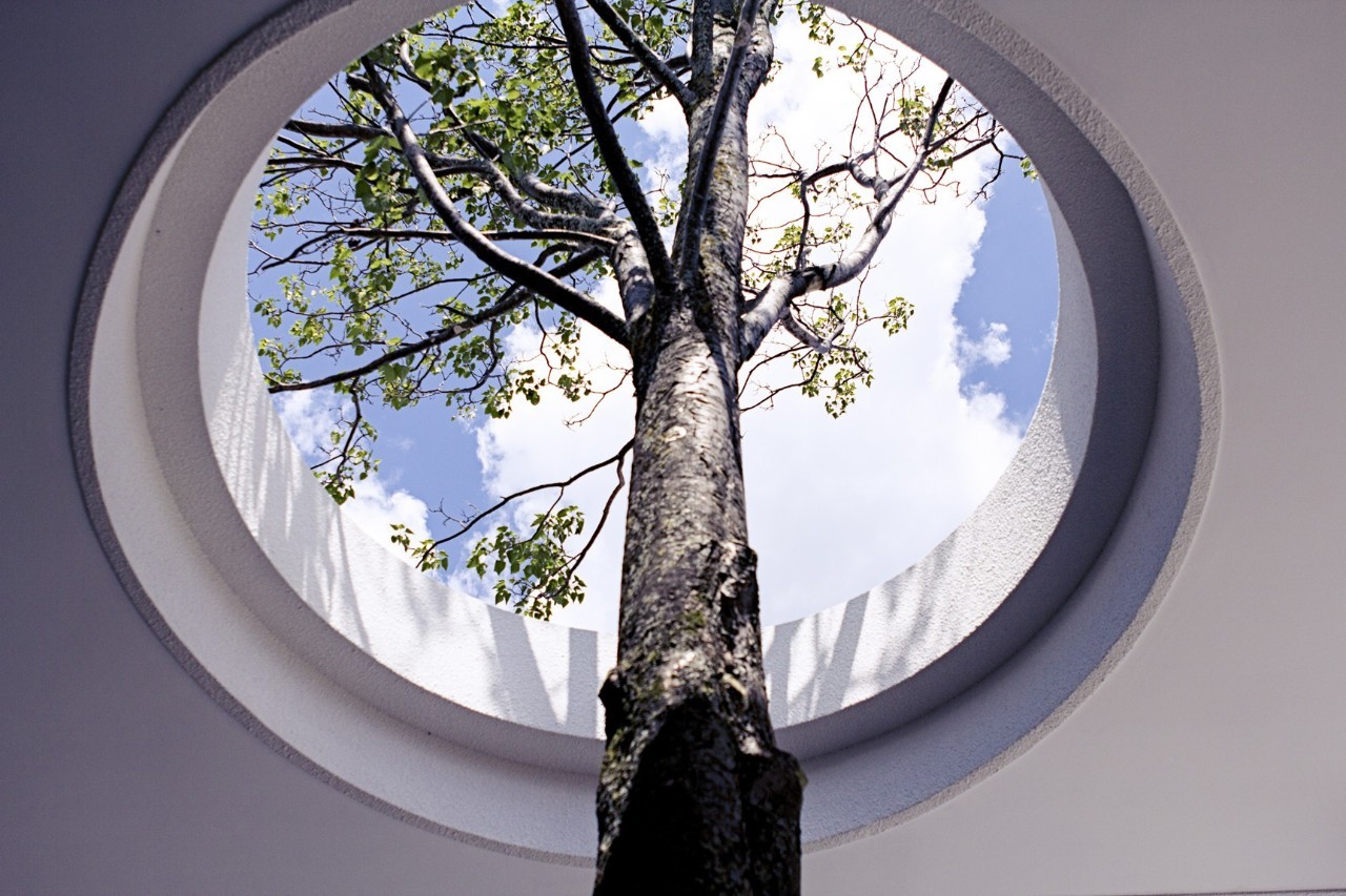 为心中的荒，填一座雪山