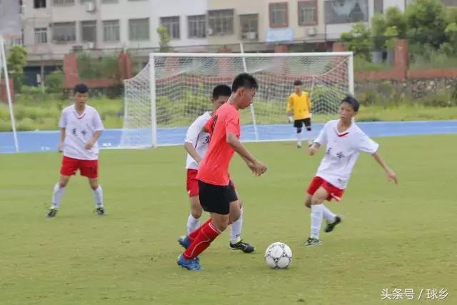 梅州田径市运会,市运会田径项目圆满结束