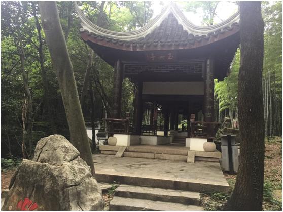 宜兴绿缘山庄度假酒店,宜兴绿缘山庄在什么地方