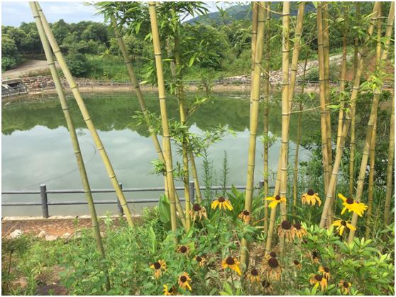 宜兴绿缘山庄度假酒店,宜兴绿缘山庄在什么地方