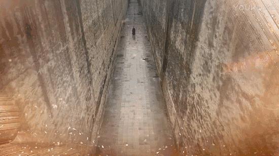 军师联盟曹操华佗,军师联盟司马昭华佗