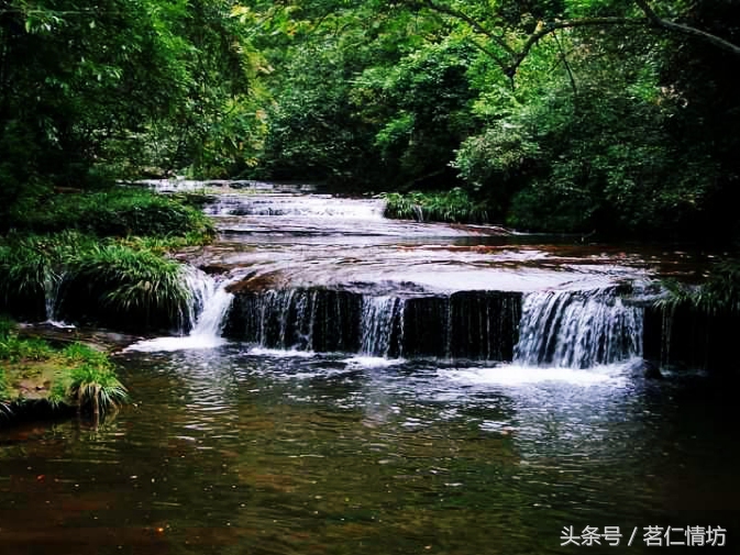 四川最美的山，你去过几个？华蓥山、青城山、西岭雪山……