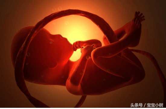 37周脐带绕颈2圈还有可能绕出来吗,如何避免胎儿脐带绕颈