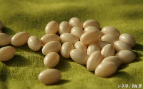 胶原蛋白肽的功效与作用适用人群,胶原蛋白怎么选择药物来源