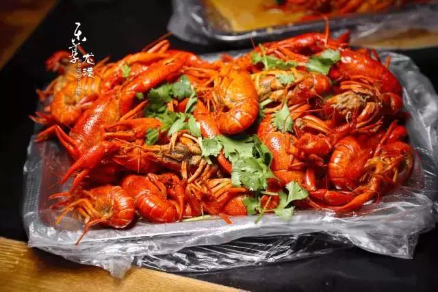 澳洲大龙虾400斤,澳洲大龙虾波士顿龙虾