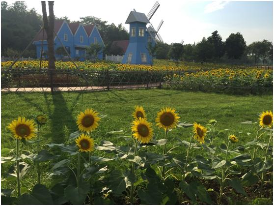 宜兴绿缘山庄度假酒店,宜兴绿缘山庄在什么地方