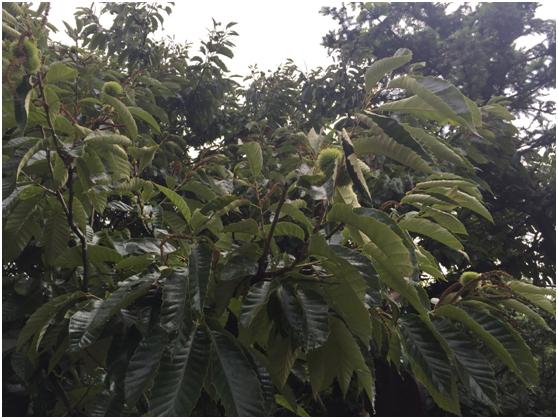 宜兴绿缘山庄度假酒店,宜兴绿缘山庄在什么地方