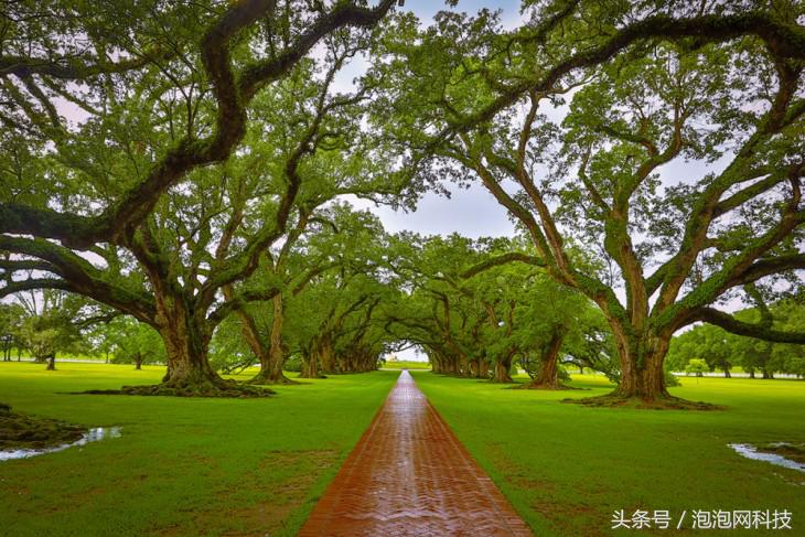 我在美国吃麻小佳能EOS路易斯安那随拍