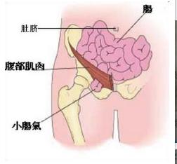 娴蜂赴闃夸笢鐩存挱瑙嗛,娴蜂赴闃夸笢鏂伴椈澶存潯