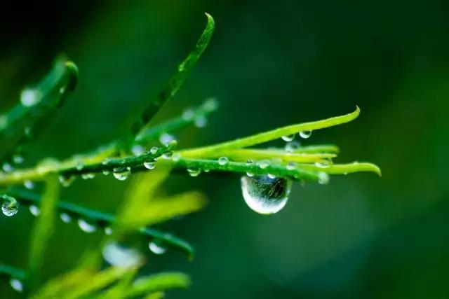 何以解忧唯有心静,何以解夏忧