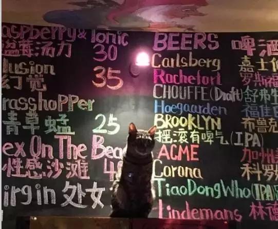 武汉doooobeer酒吧,武汉imhan酒吧全国排第几