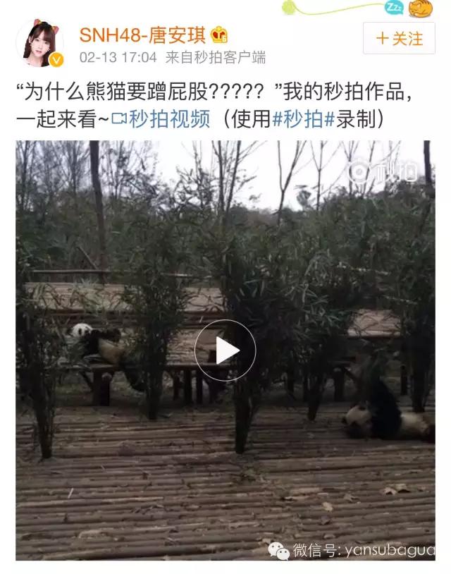 唐安琪snh48怎样被烧伤的,snh48的令人心疼的瞬间