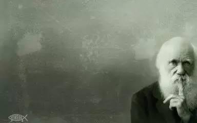 献给在股市挣扎的朋友们,关注股市的朋友