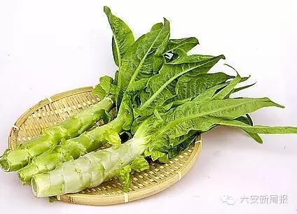 六安最新“野菜宝典”7种野菜，13种时令蔬菜，你都认识吗？