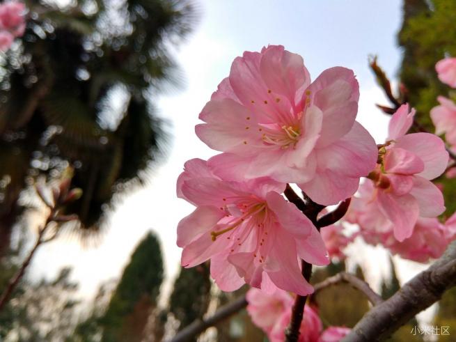 红米note3的拍照方法,红米note3不亮