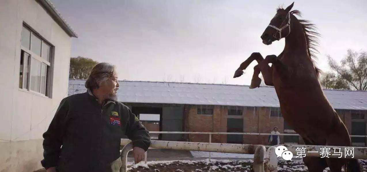 快跑100米用多少秒,快跑1000米