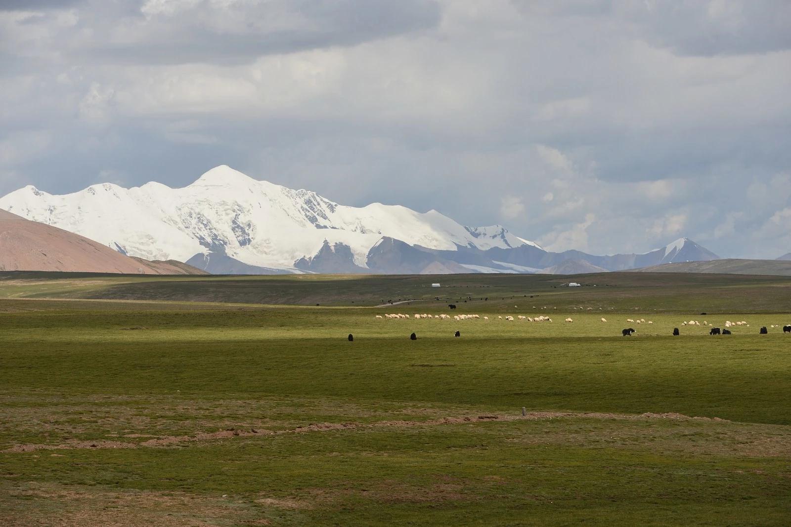鐏电杞笘闈掓捣,杞笘鐏电闈掓捣