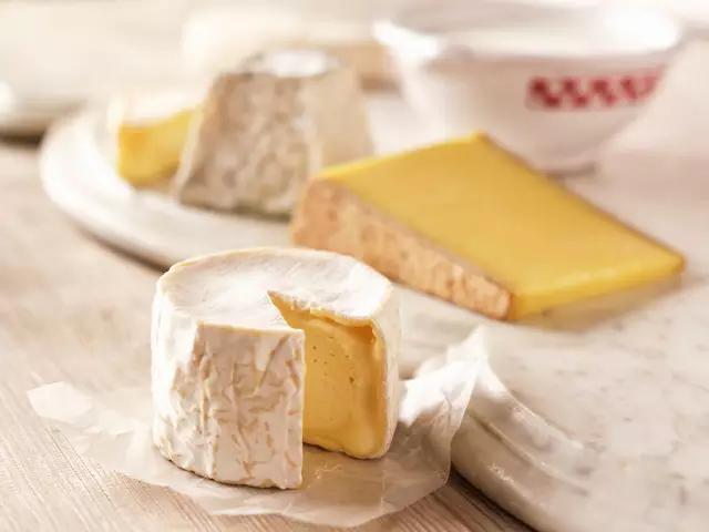 陷阱里的奶酪到底是个什么东西？