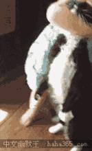 送你一枚利器，专治各种“熊孩子”不耐受症