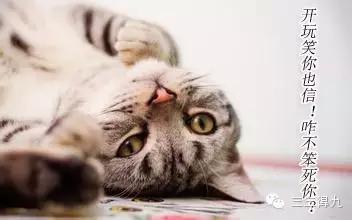 女人情绪受大姨妈控制变“*力暴**狂”，男票该如何面对