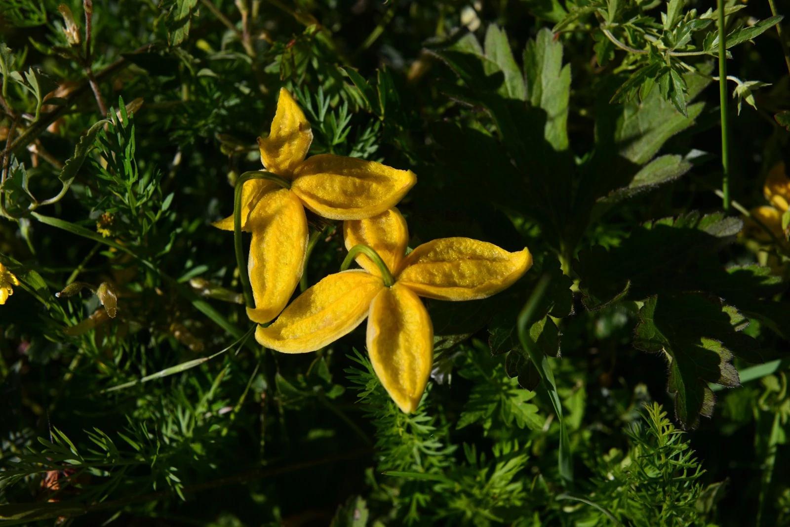 鐏电杞笘闈掓捣,杞笘鐏电闈掓捣
