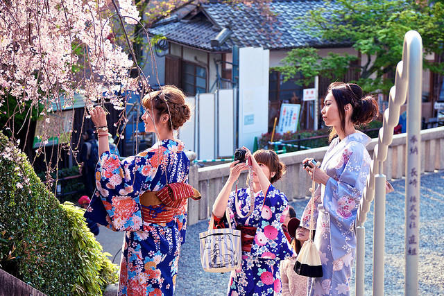 到底哪里才是12星座最不可辜负的樱花祭（上）