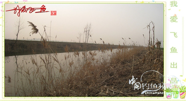 2016之我爱飞鱼觅得好钓点
