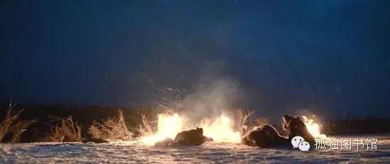 小李子来北京，《荒野猎人》小说你看了吗？