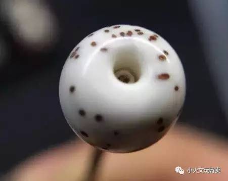 星月菩提如何选购,星月菩提怎么选购