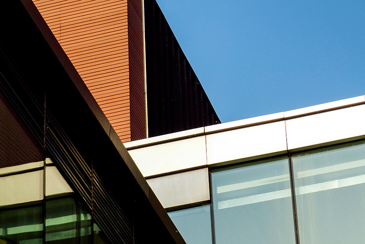 世界杯拍摄装备,世界杯资料历届世界杯最佳阵容