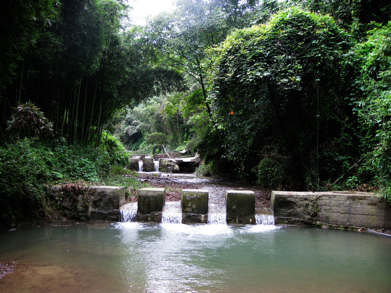 四川热天去哪玩凉快又好玩,四川竹海旅游推荐