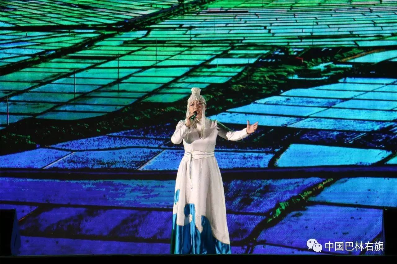 聚焦首播重播,聚焦完整版在线播放